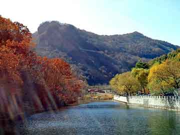 管家婆黑白马报图库，论坛